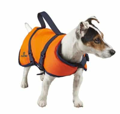 gilet de sauvetage pour chien jobe