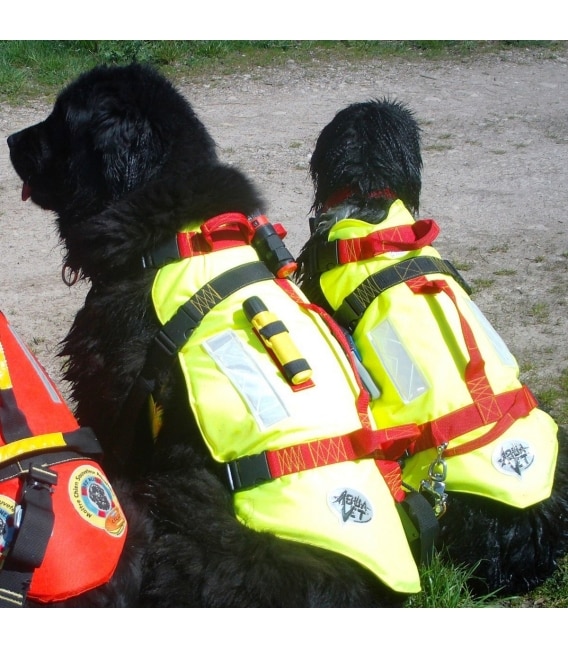 harnais gilet de sauvetage chien