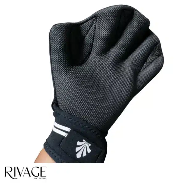 Saint Jacques GANTS PALMES RIVAGE